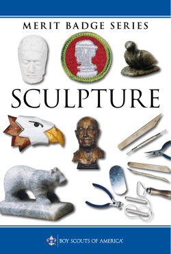 SculpTurE - Trapper Trails Council