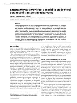 Saccharomyces cerevisiae, a model to study sterol uptake