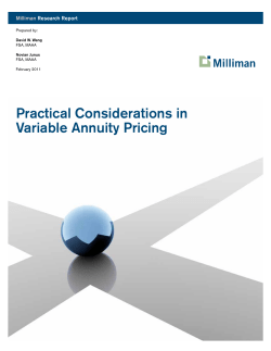 Practical Considerations in Variable Annuity Pricing