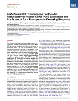 Fabio Fornara, Kishore CS Panigrahi, Lionel Gissot
