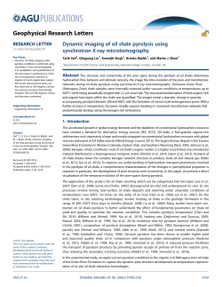 Dynamic imaging of oil shale pyrolysis using synchrotron X