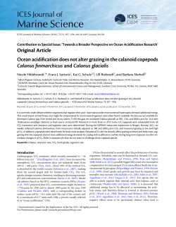 Ocean acidification does not alter grazing in the calanoid copepods