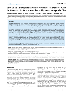 Low Bone Strength Is a Manifestation of Phenylketonuria in Mice