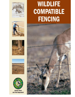 Guidelines for Wildlife Friendly Fencing