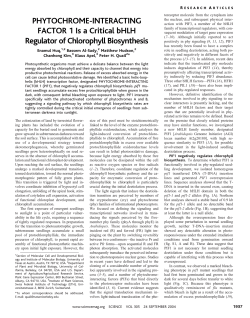 PHYTOCHROME-INTERACTING FACTOR 1 Is a Critical bHLH