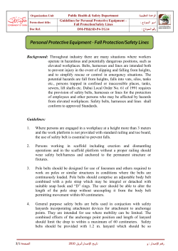 Guidelines for Personal Protective Equipment-Fall Protection
