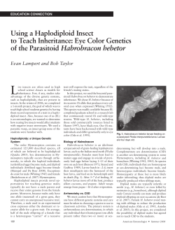 Eye Color Genetics of the Parasitoid Habrobracon hebetor