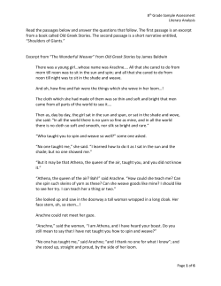 Literary Analysis Sample Assessment