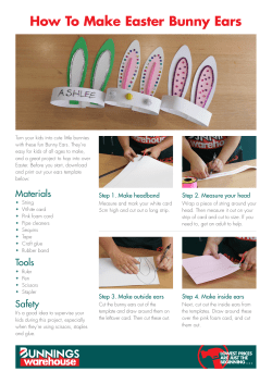 How To Make Easter Bunny Ears