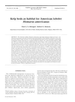 Full text in pdf format