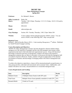 MGMT 301 - (Michael Brown)