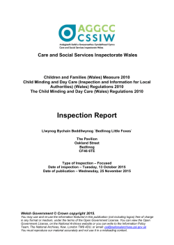 Inspection Report