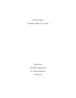 El A&ntilde;o Del Humo Nicaraguan Health Care in Context Moira Wood