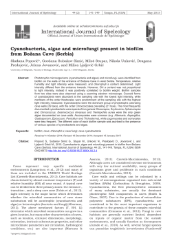 Cyanobacteria, algae and microfungi present in biofilm from Božana
