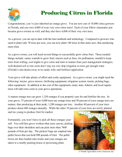 Producing Citrus in Florida - Florida Agriculture in the Classroom