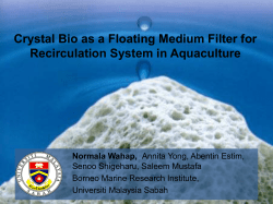 EFFECTS OF DIFFERENT GREEN WATER CONCENTRATION ON