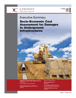 Executive Summary