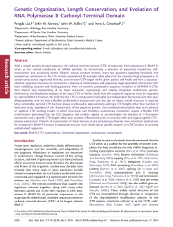 Genetic Organization, Length Conservation, and