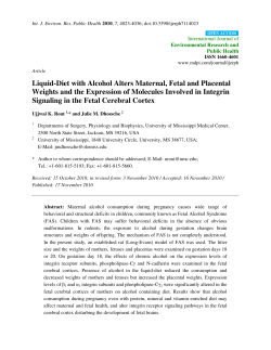 Liquid-Diet with Alcohol Alters Maternal, Fetal and Placental