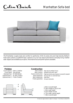 Manhattan Sofa-bed