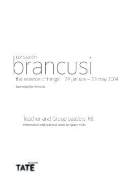 Constantin Brancusi teachers` pack