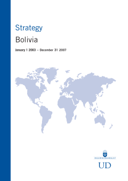 Bolivia &ndash; Country strategy 2003-2007