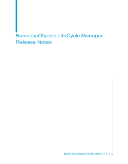 BusinessObjects LifeCycle Manager Release Notes