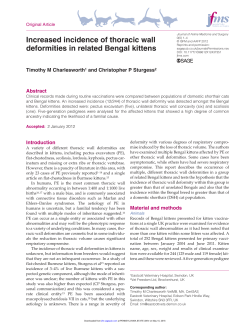 Increased incidence of thoracic wall deformities in