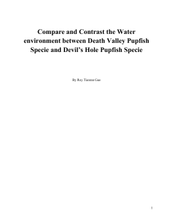 Compare and Contrast the Water environment between Death