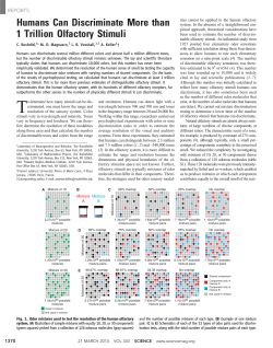 Humans Can Discriminate More than 1 Trillion Olfactory Stimuli