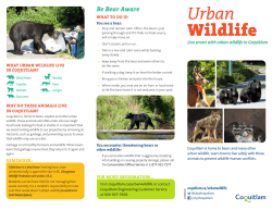 Urban Wildlife Brochure