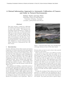 A Mutual Information Approach to Automatic Calibration of Camera