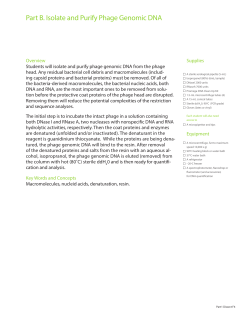 Part B. Isolate and Purify Phage Genomic DNA - SEA