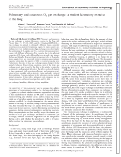 Pulmonary and cutaneous O2 gas exchange: a student laboratory