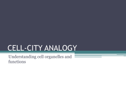 CELL-CITY ANALOGY