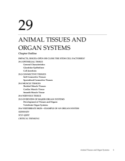 animal tissues and organ systems