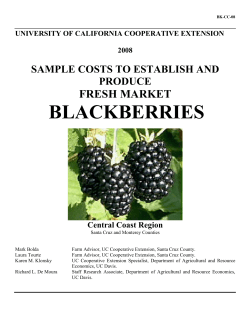 Sample Costs to Establish and Produce Fresh Market