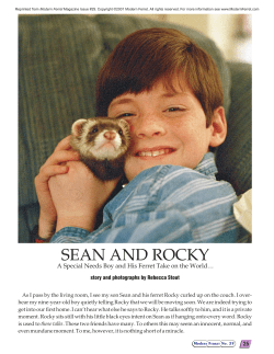 Modern Ferret - A Christmas Miracle for Sean