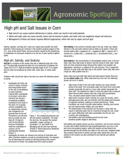 High pH and Salt Issues in Corn