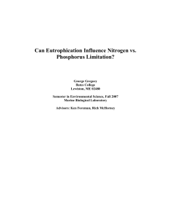 Can Eutrophication Influence Nitrogen vs. Phosphorus Limitation?