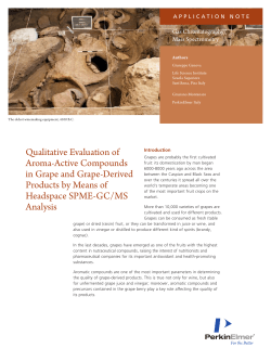 Qualitative Evaluation of Aroma-Active Compounds in