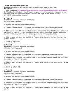 Karyotyping Web Activity