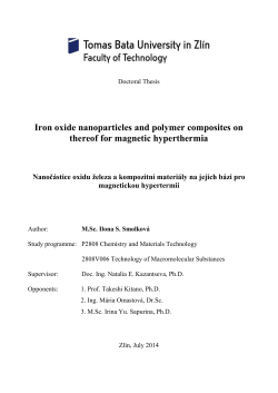 Iron oxide nanoparticles and polymer composites on thereof for