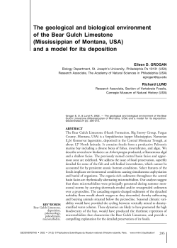 full article in PDF format