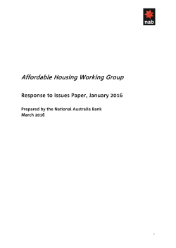 National Australia Bank - Issues Paper: Council