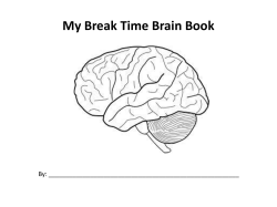 My Break Time Brain Book