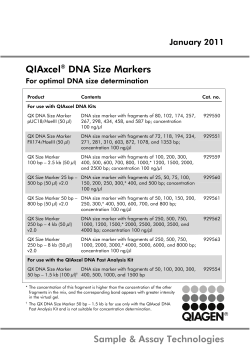 QIAxcel&reg; DNA Size Markers
