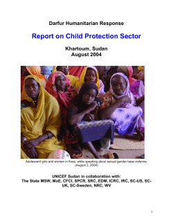 Darfur Humanitarian Response