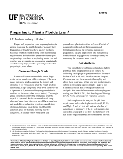 Preparing to Plant a Florida Lawn