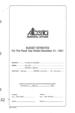 Fiscal Year Ended December 31, 1991